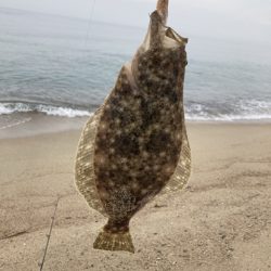 サーフフィッシング