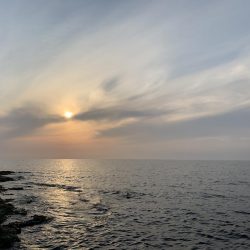 キジハタ釣行行ってきました!