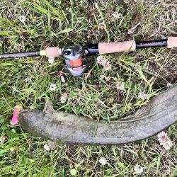 ナマズさん！！