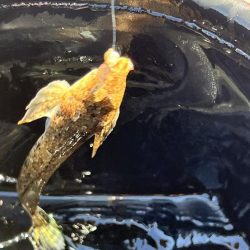 昨日の反省点を活かしました!!