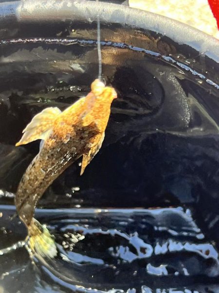 昨日の反省点を活かしました!!