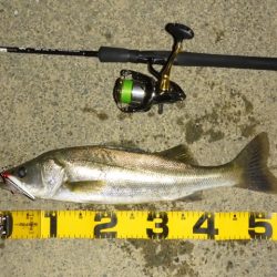 静けさの中での、まさかのHit！