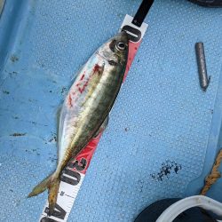 飲ませ最高(サウス)