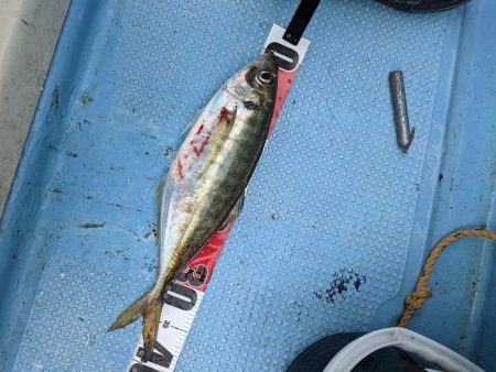 飲ませ最高(サウス)