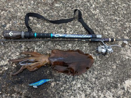 初の石川、春アオリ5杯!!