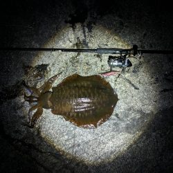 執念の1杯(・x・*)！！