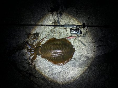 執念の1杯(・x・*)！！