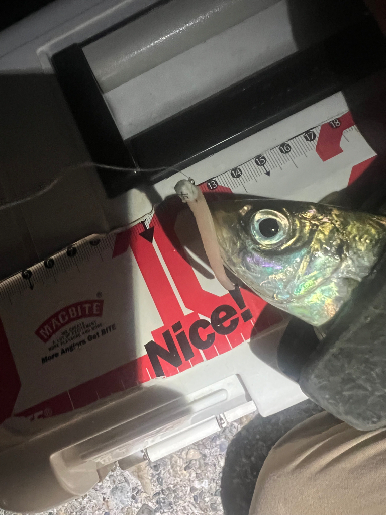 アジングランガン