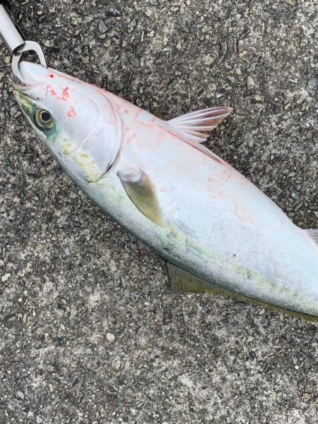 なんとか一本！