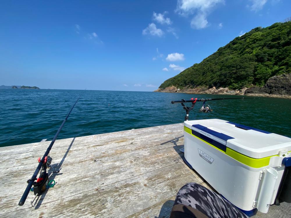 筏でアオリイカキロアップ