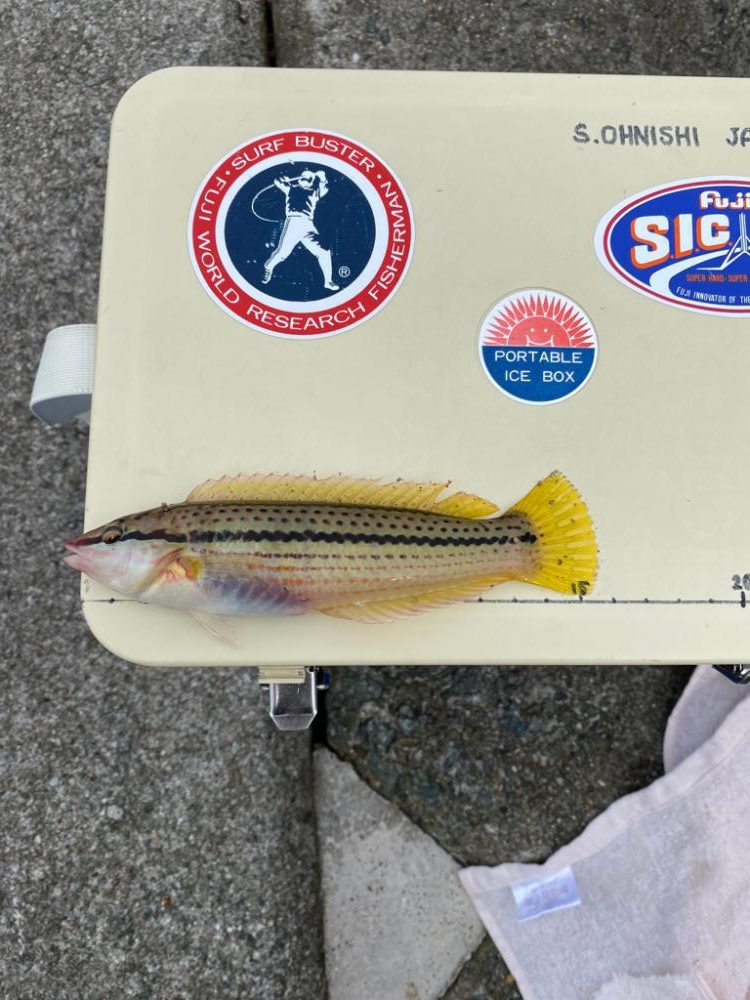 キスゲーム　ちょい投げ