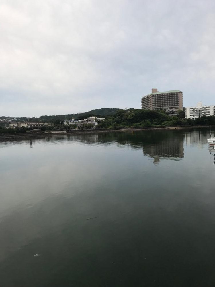 ガシラリベンジ！