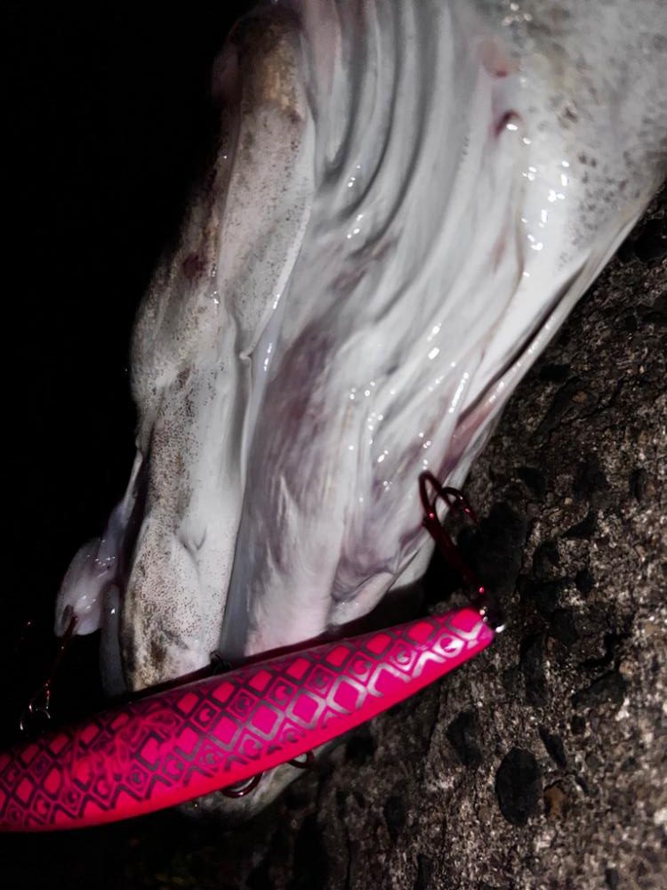 完璧なバイト!!