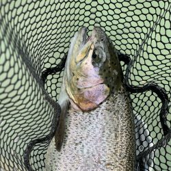 ようやくコツがわかった気がする（苦笑）