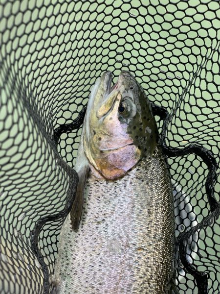 ようやくコツがわかった気がする（苦笑）