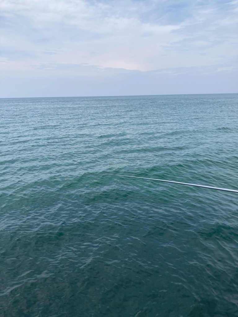 ヤエンシーズン終了