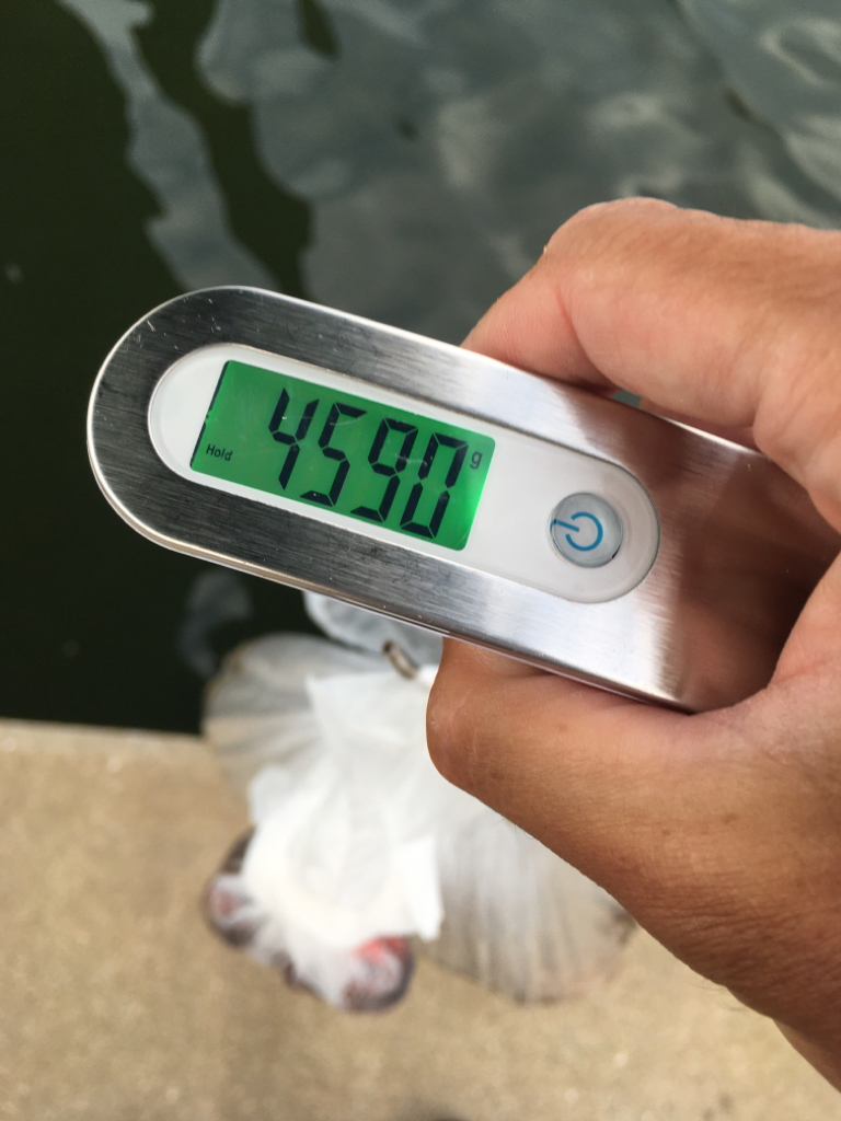 【タコフィネス】 南港で4690g、計14杯。