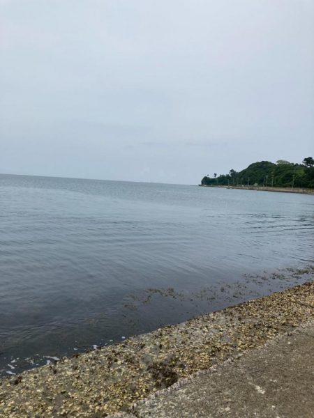 春イカ？夏イカ？とにかくＫオーバー