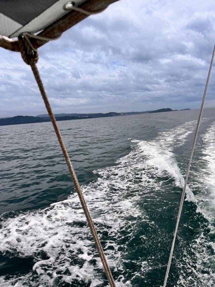 アジ泳がせ釣り