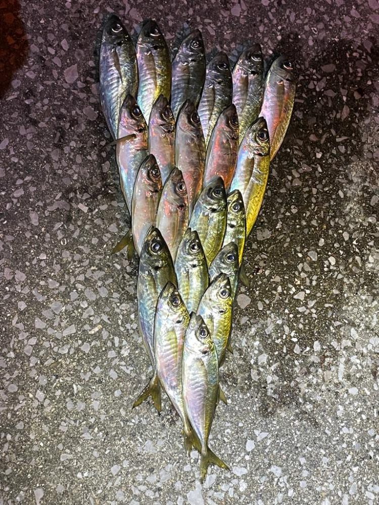 前回と同じ場所で