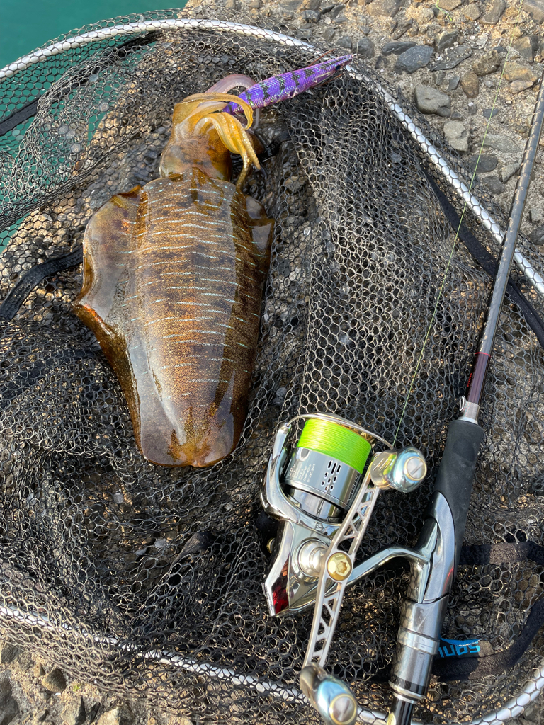 やっと天気回復