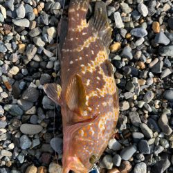 信じるか信じないかは、あなたしだい