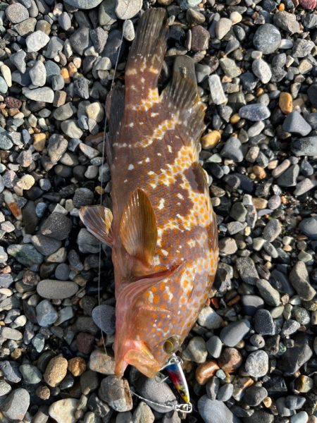 信じるか信じないかは、あなたしだい