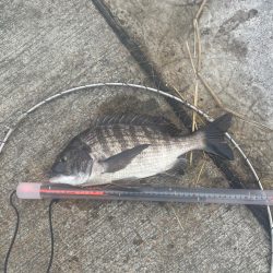 波止フカセ 実際は 二桁