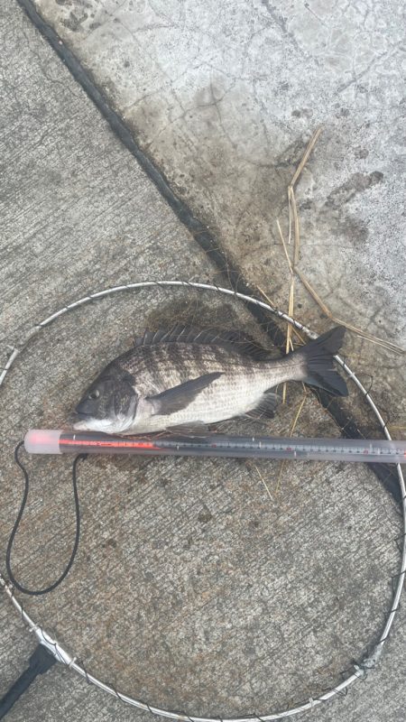 波止フカセ 実際は 二桁