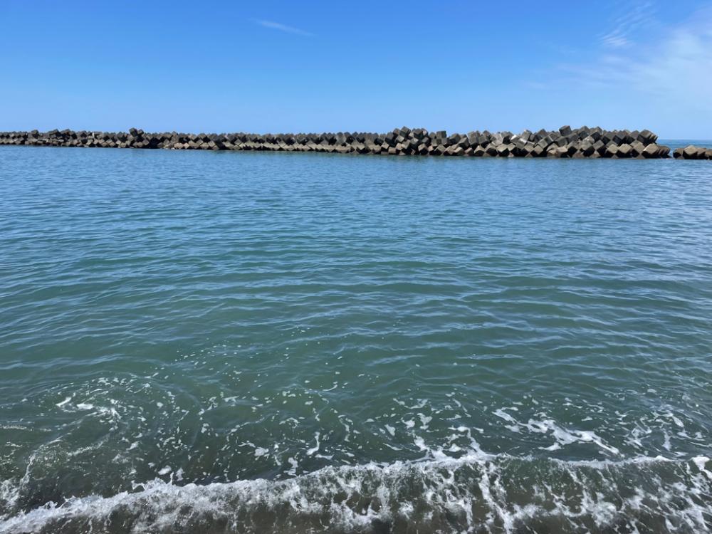 初オキサヨリ？