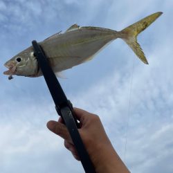 デイアジング🎣💕