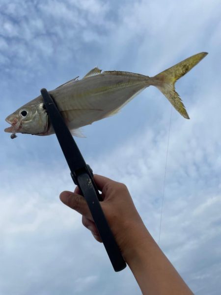 デイアジング🎣💕