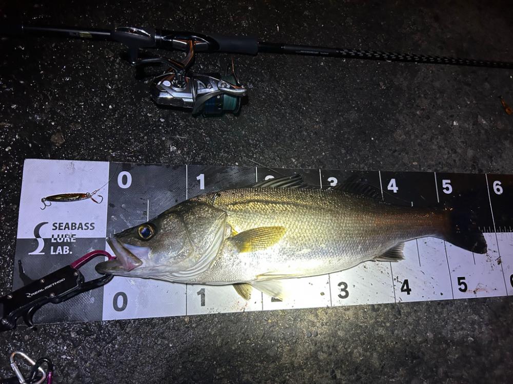 またまたやっちゃいました！！