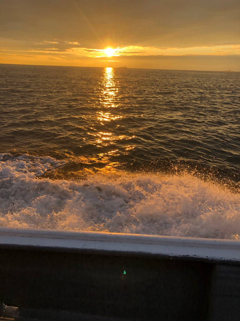 初サワラキャスティング