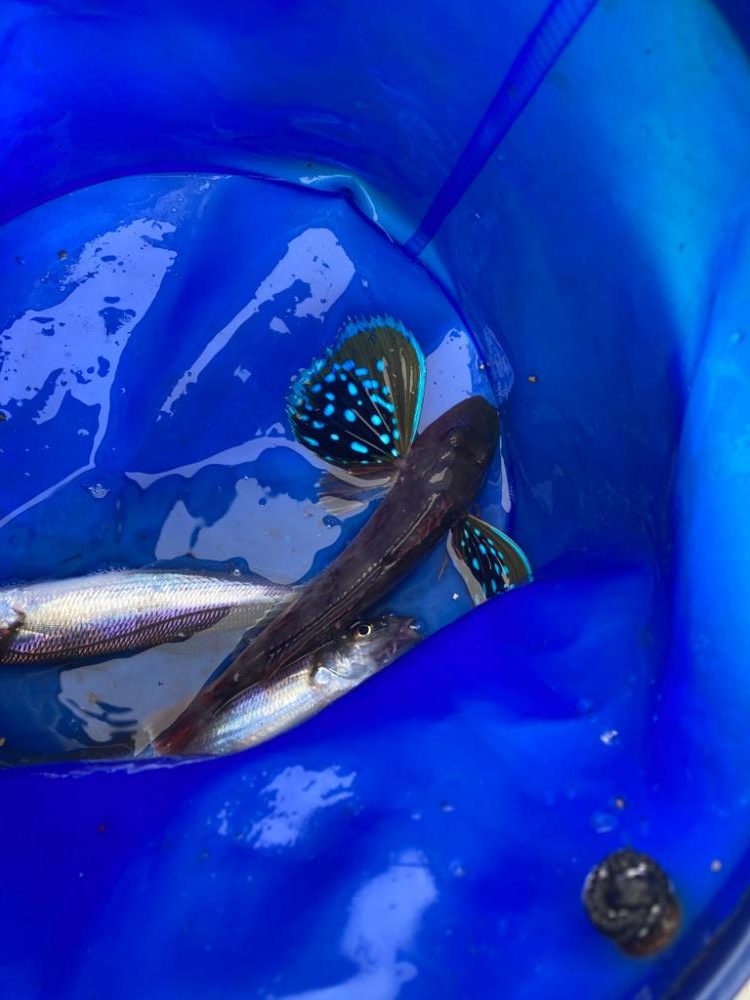 子供とボート釣り