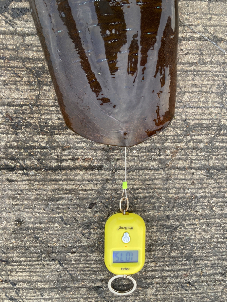 ヤエンシーズン終了?