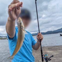 エギングタックルでシロギス