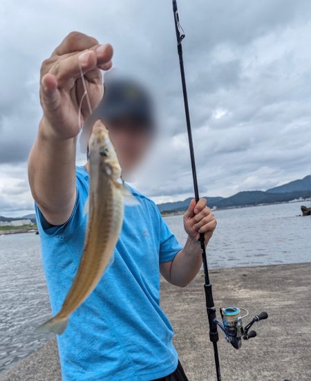 エギングタックルでシロギス