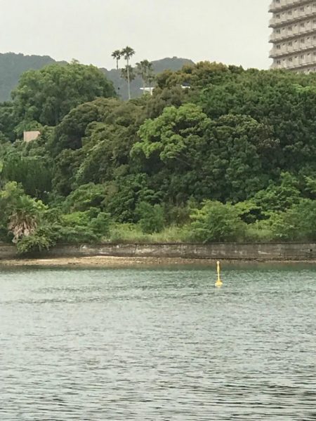 タカノハダイの日