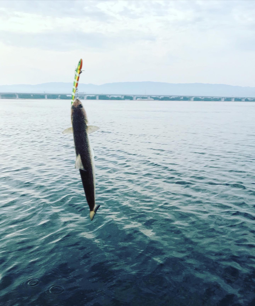 なんとか2連勝！