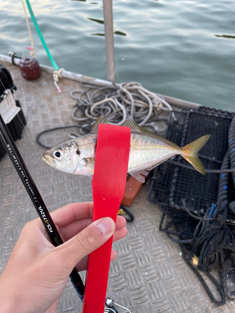 日本海ライトゲーム