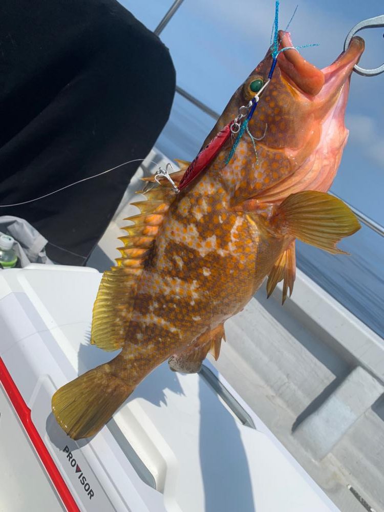 やっぱりSLJおもろい〜