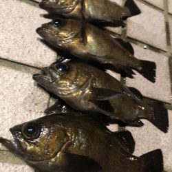 メバリング3days最終日