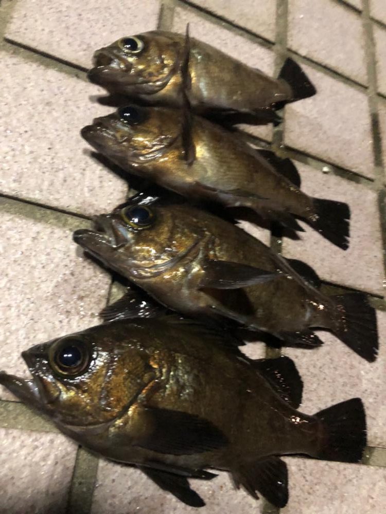 メバリング3days最終日