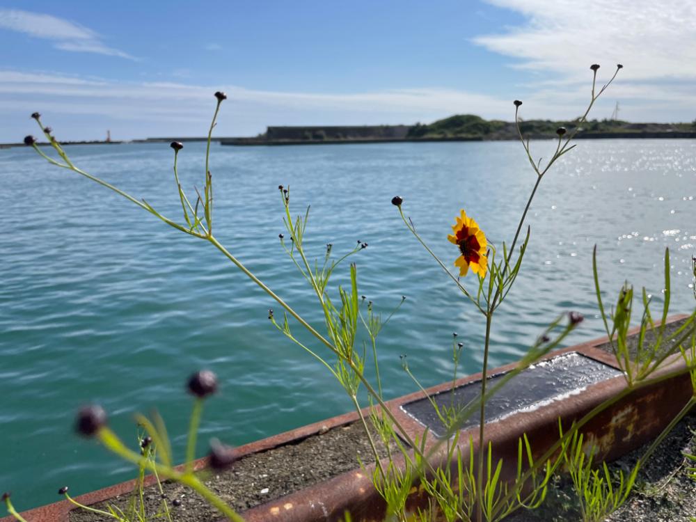 台風直前の少しの晴れ間釣行
