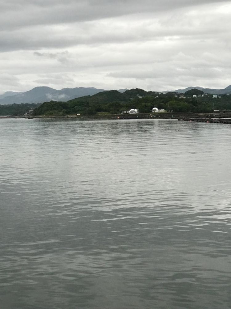 雨の中のガシラ釣り♪