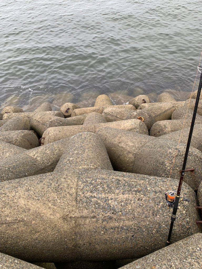 青物まだイケる