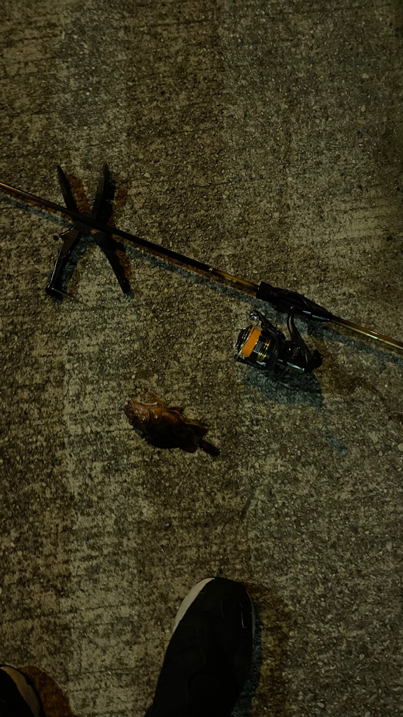 実力不足なのか、、、