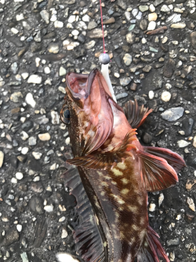 大きくなれよ！