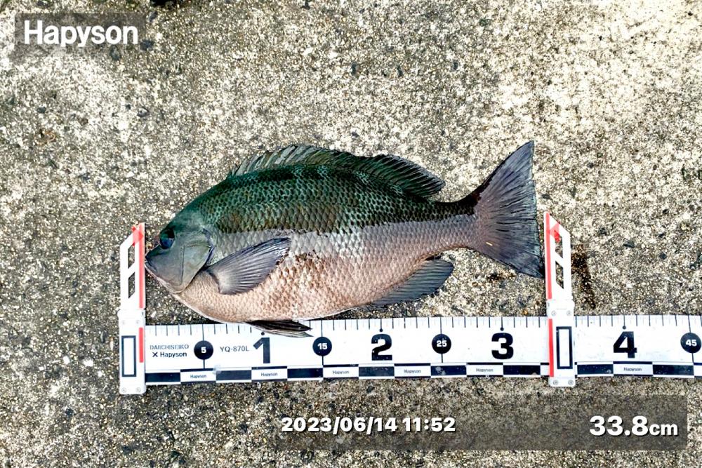 少し雨が降る中からスタート